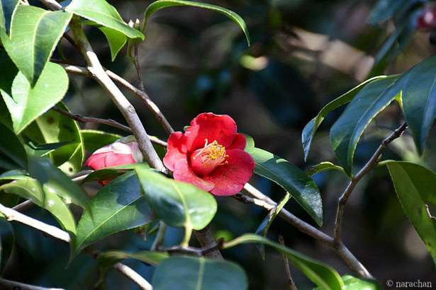 D72_5527.JPG