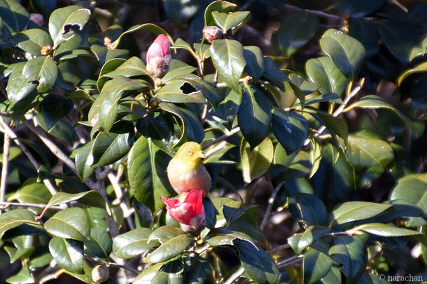 D72_5574.JPG