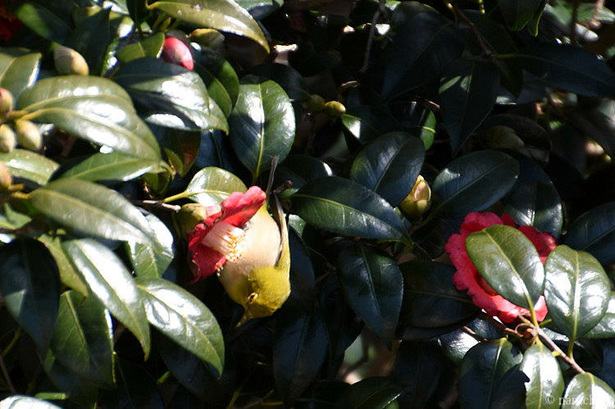 D72_5577.JPG