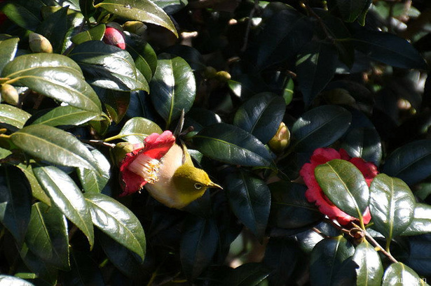D72_5578.JPG