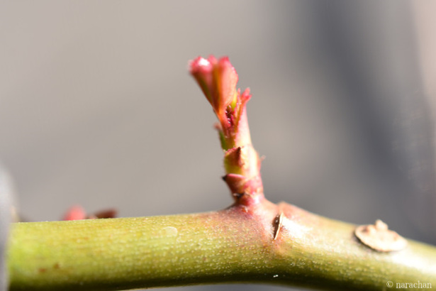 D72_5721.JPG