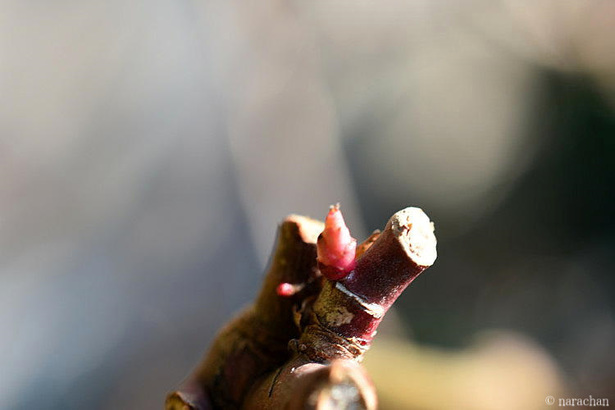 D72_5725.JPG