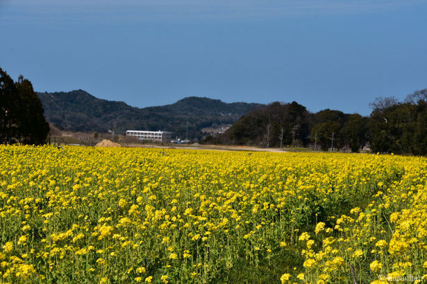 D72_5731.JPG