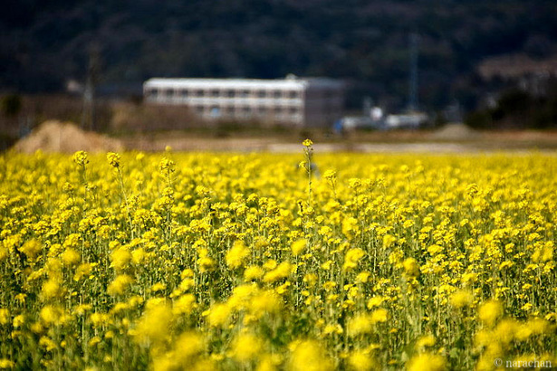 D72_5739.JPG