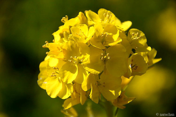 D72_5760.JPG