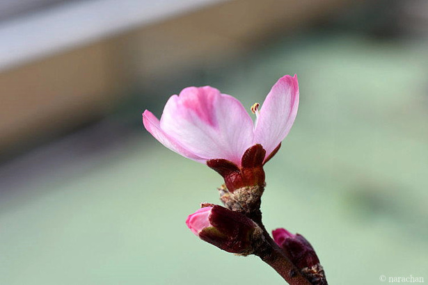 D72_5789.JPG