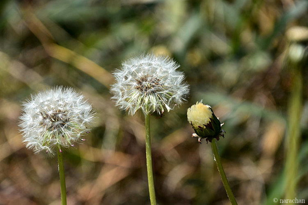 D72_5957.JPG