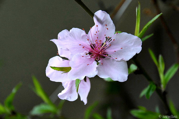 D72_6041.JPG