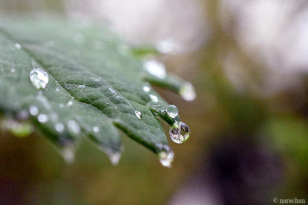 D72_6058.JPG