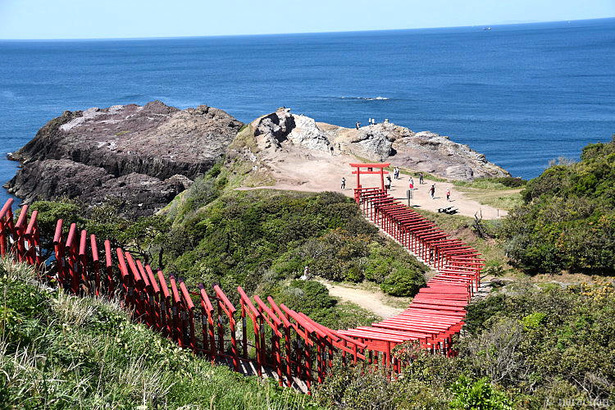 D72_6528.JPG