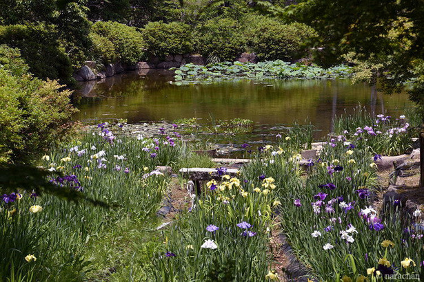 D72_7458.JPG