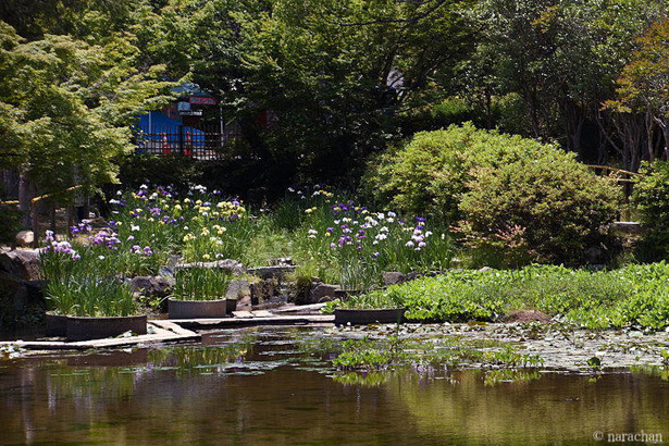 D72_7473.JPG