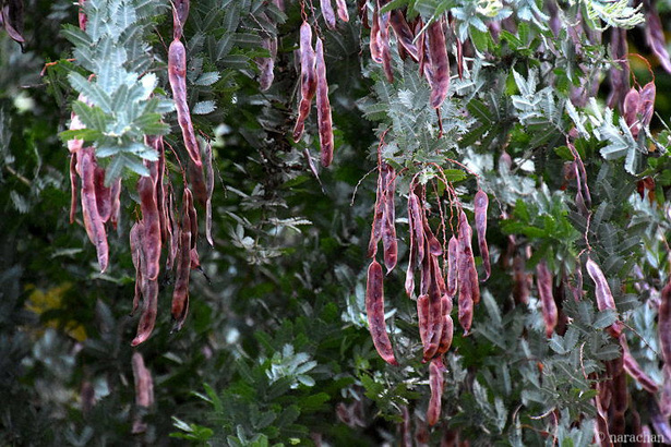 D72_7776.JPG