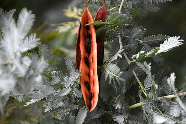 D72_7778.JPG