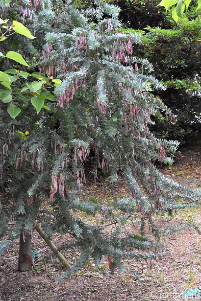 D72_7781.JPG