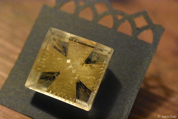 D72_7807.JPG