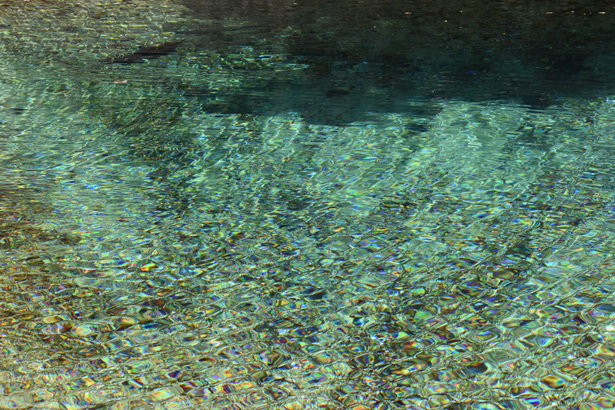 D72_7924.JPG