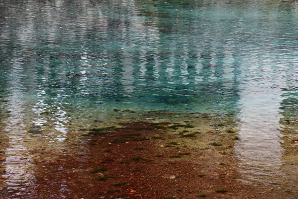 D72_7953.JPG