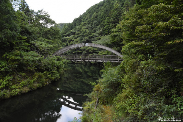 D72_7958.JPG