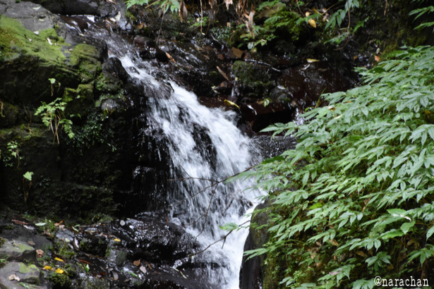 D72_7962.JPG
