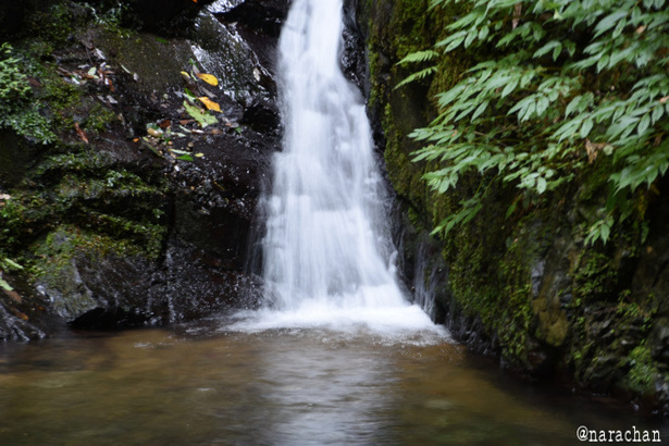 D72_7963.JPG