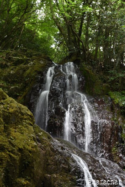 D72_7975.JPG