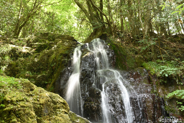 D72_7980.JPG
