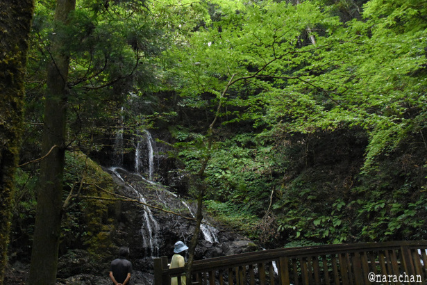 D72_8007.JPG