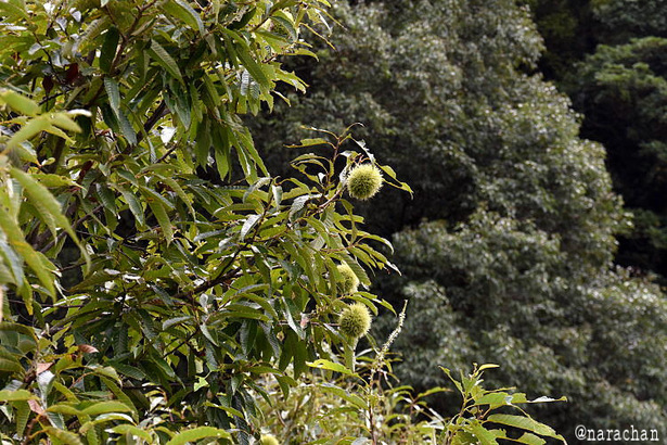 D72_8057.JPG