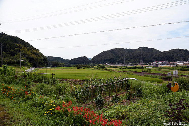 D72_8088.JPG