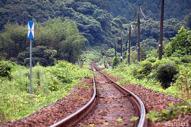 D72_8092.JPG