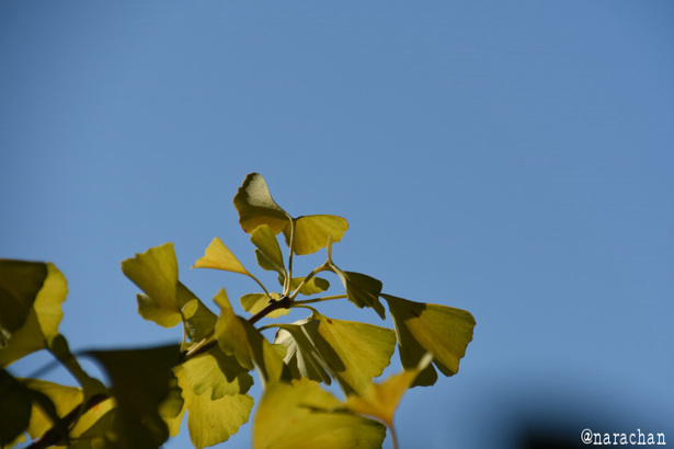 D72_8122.JPG