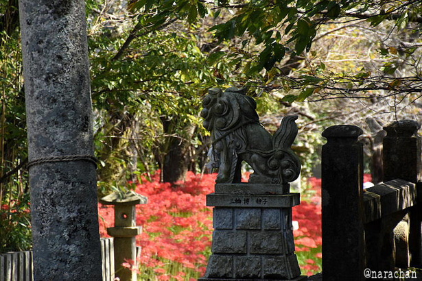 D72_8368.JPG