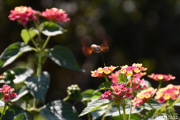 D72_9037.JPG