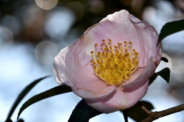 D72_9152.JPG