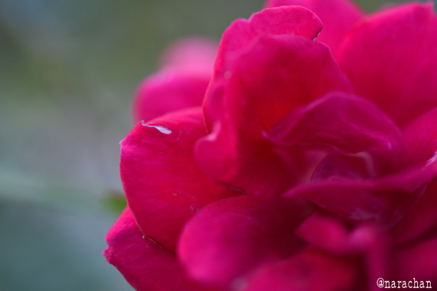 D72_9353.JPG