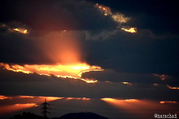 D72_9470.JPG