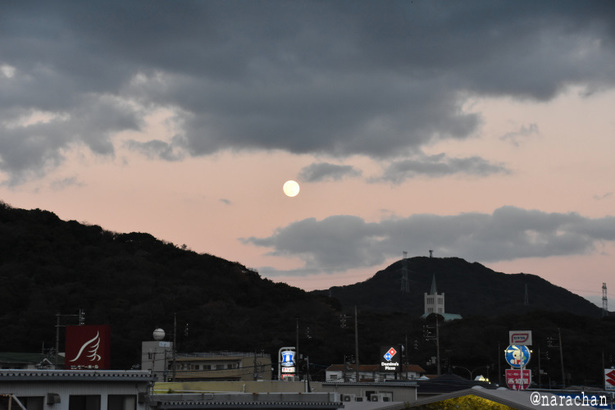 D72_9492.JPG