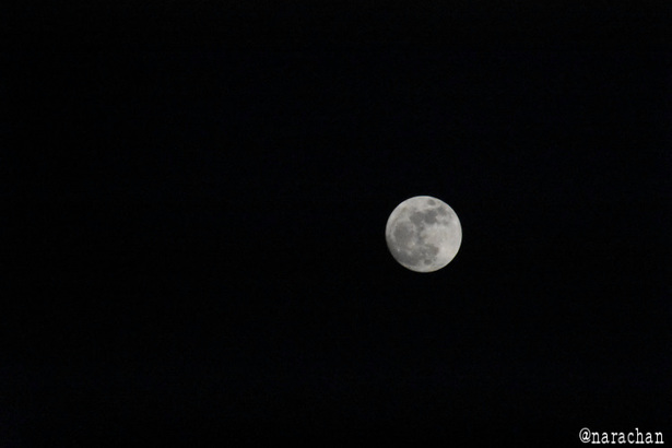 D72_9545.JPG