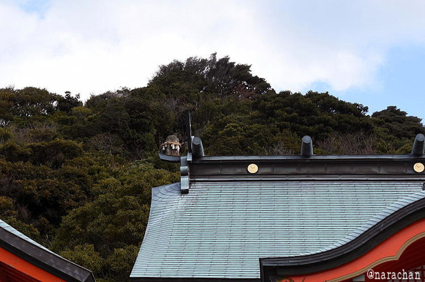 D72_9560.JPG
