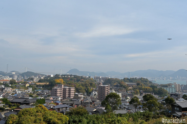 DSC_0230.JPG