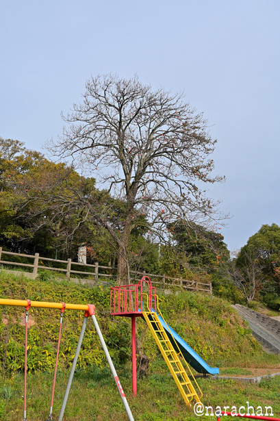 DSC_0275.JPG