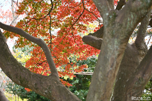 DSC_0302.JPG