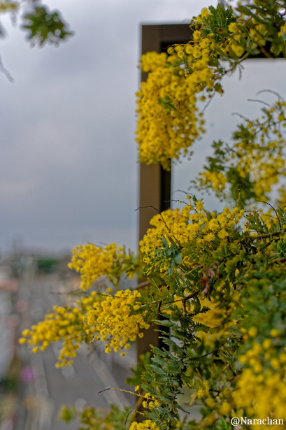 DSC_0349_DxO.JPG
