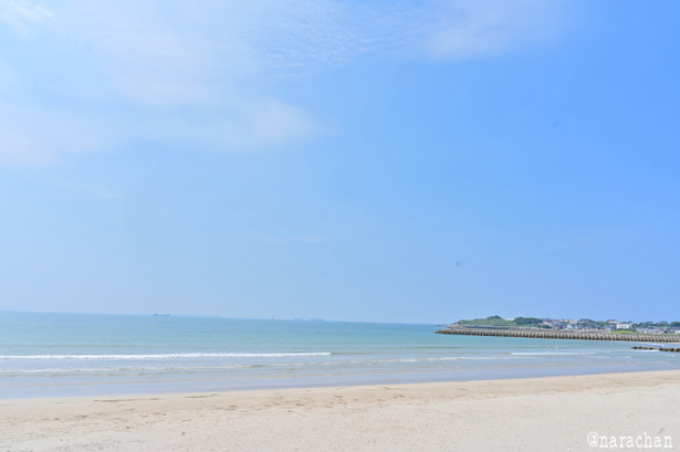 DSC_0405.JPG