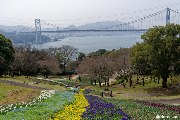 DSC_0496_DxO.JPG