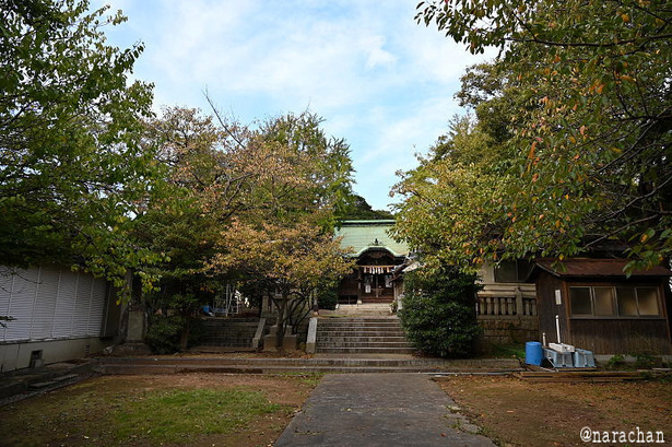 DSC_0900.JPG