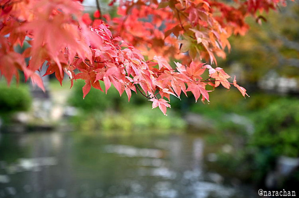 DSC_1025.JPG