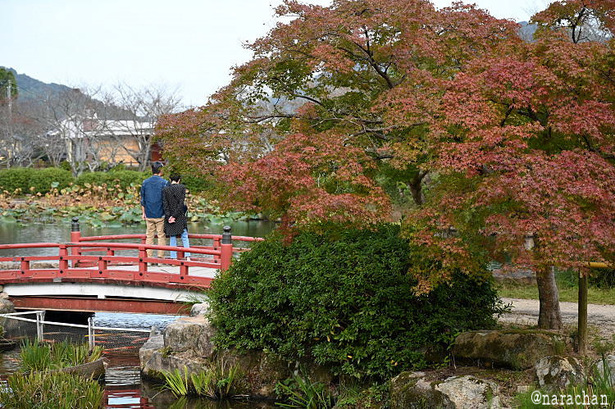DSC_1033.JPG