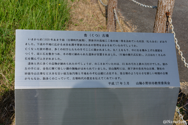 DSC_1144_DxO.JPG